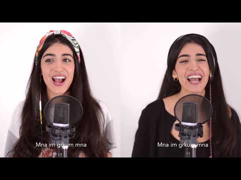 Luciana Zogbi - Friends Mashup