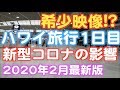 【ハワイ旅行・滞在中・異様な風景!?】 1日目 成田空港 JAL HAWAII ハワイ好き必見 2020年2月最新版 自宅でハワイ気分 ワイキキ観光 ハワイ観光 | Narita Airport