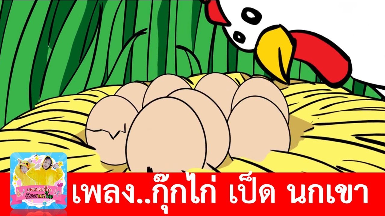 เพลงกุ๊กไก่ เป็ด นกเขา | เรียนรู้เรื่องสัตว์ปีก | รวมฮิตเพลงเด็ก | เพลงฮิต2564