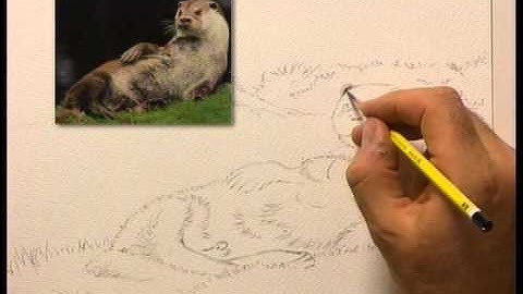 Preview | The Complete Drawing Course for Beginners with Ronald Swanwick, Part 4 (Tone & Texture)