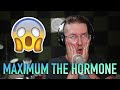 Metal Guitarist Reacts: Maximum the Hormone - "ALIEN"