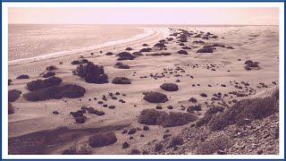 PLAYA DEL INGLÉS Gran Canaria Historical Images 60's 💥