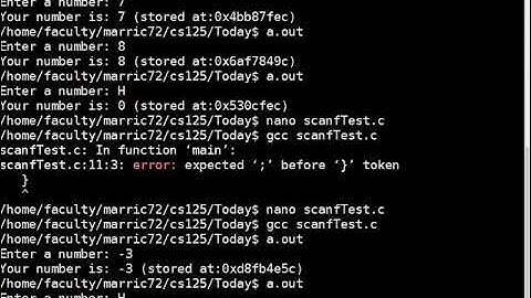 C programming:  error checking with scanf and  while loops