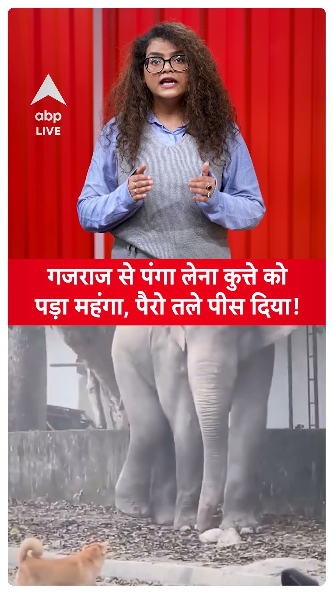 Viral Video: गजराज से पंगा लेना कुत्ते को पड़ा महंगा, पैरो तले पीस दिया! | ABP LIVE | SHORTS