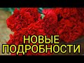 ПОЯВИЛИСЬ НОВЫЕ ПОДРОБНОСТИ СМЕРТИ 18-ЛЕТНЕЙ РУССКОЙ МИЛЛИОНЕРШИ НА БАЛИ