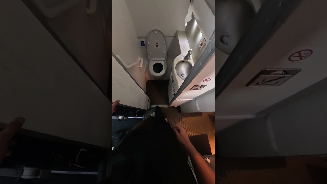 POV: 2 Hour flight with my service dog
