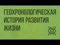 Геохронологическая история развития жизни. Видеоурок по биологии 11 класс