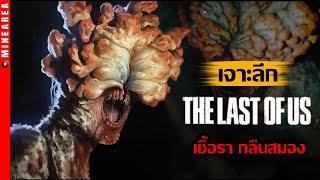 เจาะลึก Cordyceps เชื้อราเปลี่ยนสมอง กับผู้ติดเชื้อทุกระยะจาก The last of us I minearea