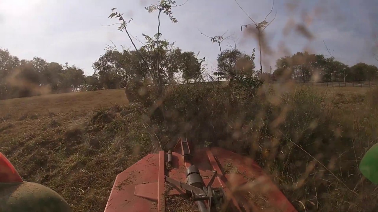 6' Kodiak Brush Hog Cutting 2 Inch Saplings YouTube