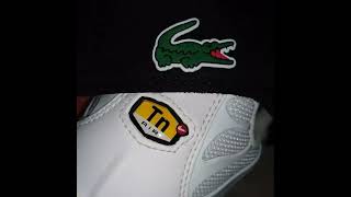 lacoste 3