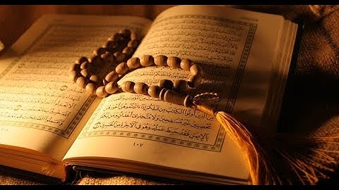 القرآن الكريم بصوت جميل وهادئ 😌 10 ساعات بدون حقوق الطبع والنشر