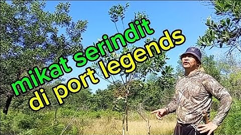 part 1 memikat serindit liar di port legends tompinai..
