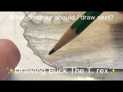 ✨Drawing Buck The