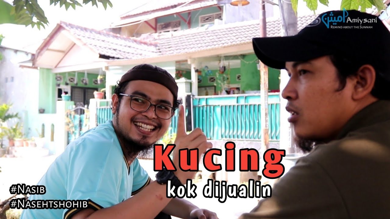 Jual beli kucing - YouTube