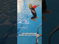 She is the bravest girl in my pool 💙 #swimmingtips #swim #swimmingpool