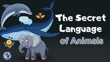 The Secret Language of Animals