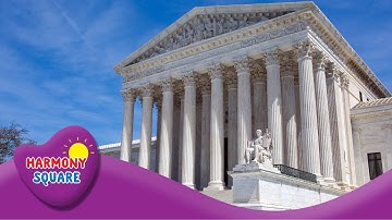 Judicial Branch - Understanding the Constitution on the Learning Videos Channel