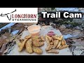 Blooming Onion / Texas Tonions  vs. French Fries (TRAIL CAMERA) -In The Woods!