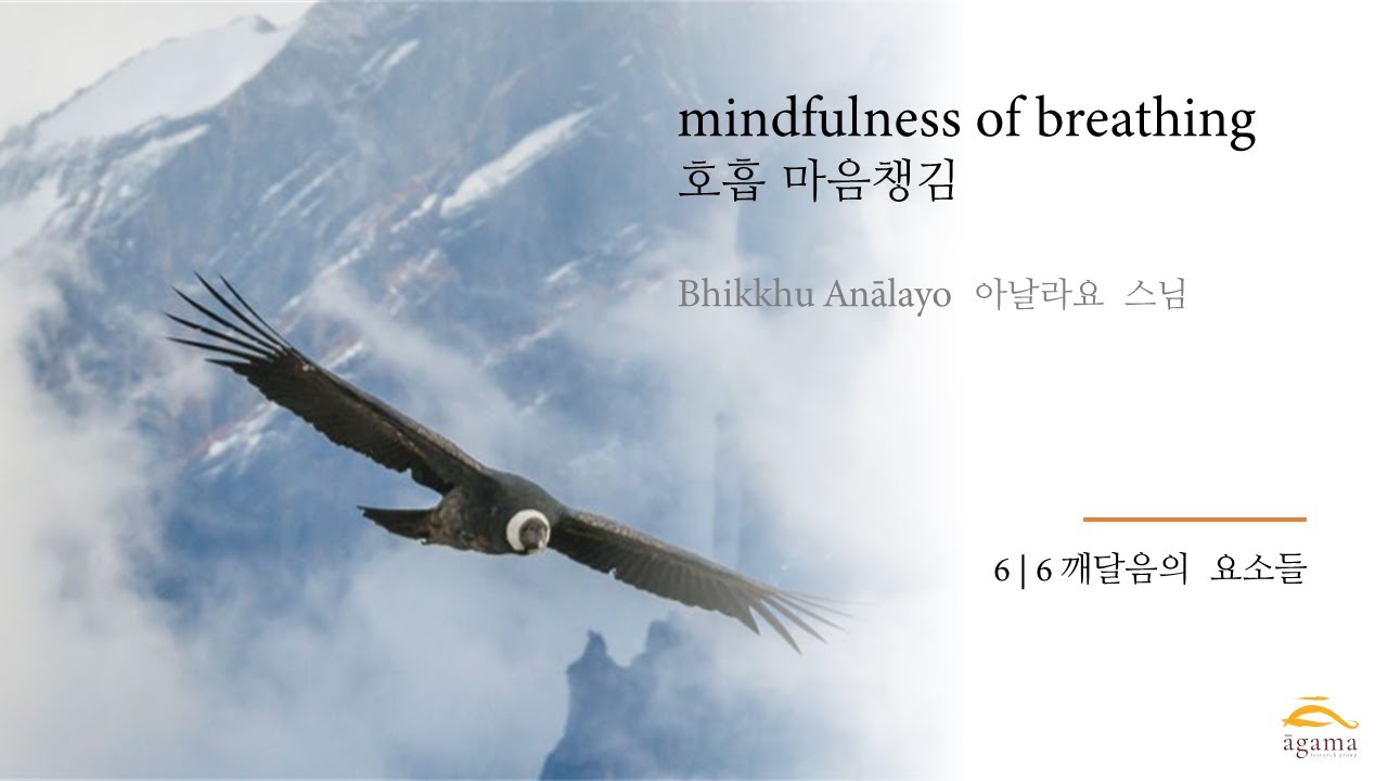 Sh харфи. сабвуфер fbt ls 61a. сложные пин коды. крючки gamakatsu hook ls-2210s. Sherion магнитофон ks 300ls.