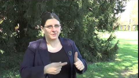 Hannah Dee on Lovelace Colloquium