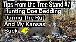 Tips From The Tree Stand 7 Hunting Doe Bedding During The Rut And My Kansas Buck