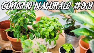 Concime Naturale / Fertilizzante Liquido Fai da Te - Liquid Fertilizer DIY