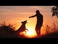 A Brief History of Dogs - narrated by Sarah Lynn Dawson