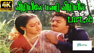 Vizhiyile Mani Vizhiyil ||விழியிலே மணி விழியில் || S. P. B, S. Janaki || Love Duet Melody H D Song