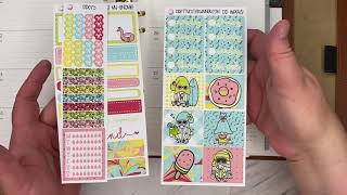 Plan with me EC A5 Horizontal | Erin Condren