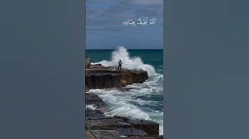الله لطيف بعباده || تلاوة عطرة للشيخ راغب مصطفى #تلاوة_خاشعة #سورة_الشورى