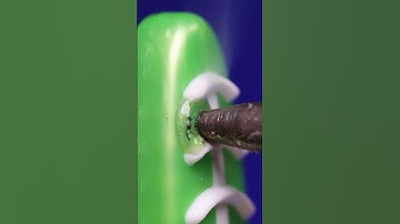 Toothbrush vs. Soldering iron (ASMR close up/macro) #asmr #closeup #macro #satisfying #asmrvideo