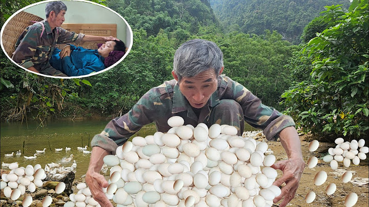 Homeless old man collects duck eggs to sell at the market. Visiting militia house