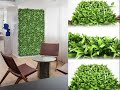 Top Stylish Artificial Vertical Garden Wall #GreenWall #DIYWall [EASY DIY]