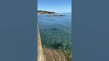 Another Breathtaking View On Vancouverisland Canada Happyplace Peaceful Stairway 