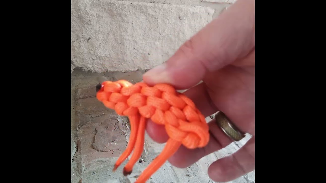 modified paracord frog