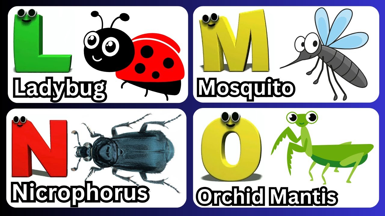 Abc Insect Song | A to Z Insects Song | Insects Alphabet song | Phonics ...
