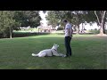 Beginning of video