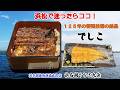 【浜松湖うなぎ】浜名湖養魚漁協直営「丸浜」で新ブランド鰻『でしこ』の白焼＆蒲焼セットを実食！ #浜松グルメ #でしこ