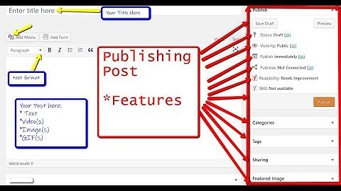 How to Publishing blog post In WordPress (the different options)
