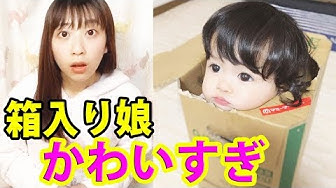 箱入り娘 Youtube