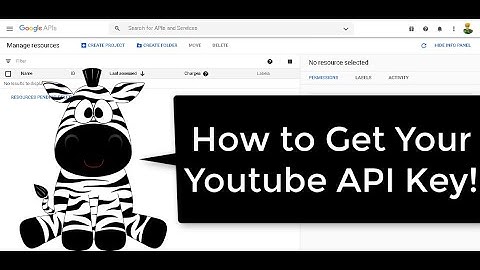 How to Get Youtube API Data Verion 3 in Google Developer Console