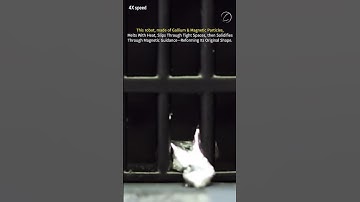 This Liquid Metal Robot Can Melt, Move, and Reform Itself #science