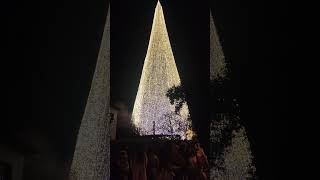 Cartes celebra la Navidad con un árbol de 65 m, el más alto de Europa de los más grandes del mundo.