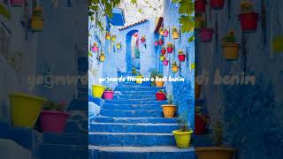 Vişneli Şarkı Resimi