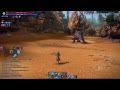 TERA online party hunting (lvl 34)