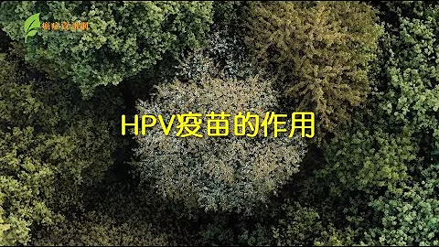 HPV疫苗有何作用？ ｜林偉雄醫生 - 天天要聞