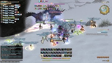 Final Fantasy XIV: A Realm Reborn - Behemoth Fight