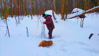 35🔥Выживание в лесу зимой🔥Без ничего🔥Добыча огня и еды в заснеженном лесу🔥Последствия негопада🔥Чай