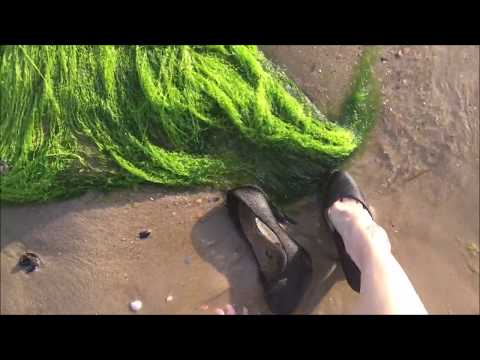 Washed up...?!