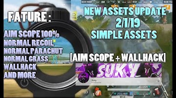 New Assets.Npk [AIM SCOPE + WALLHACK] RULES of SURVIVAL 1 JAN 2018